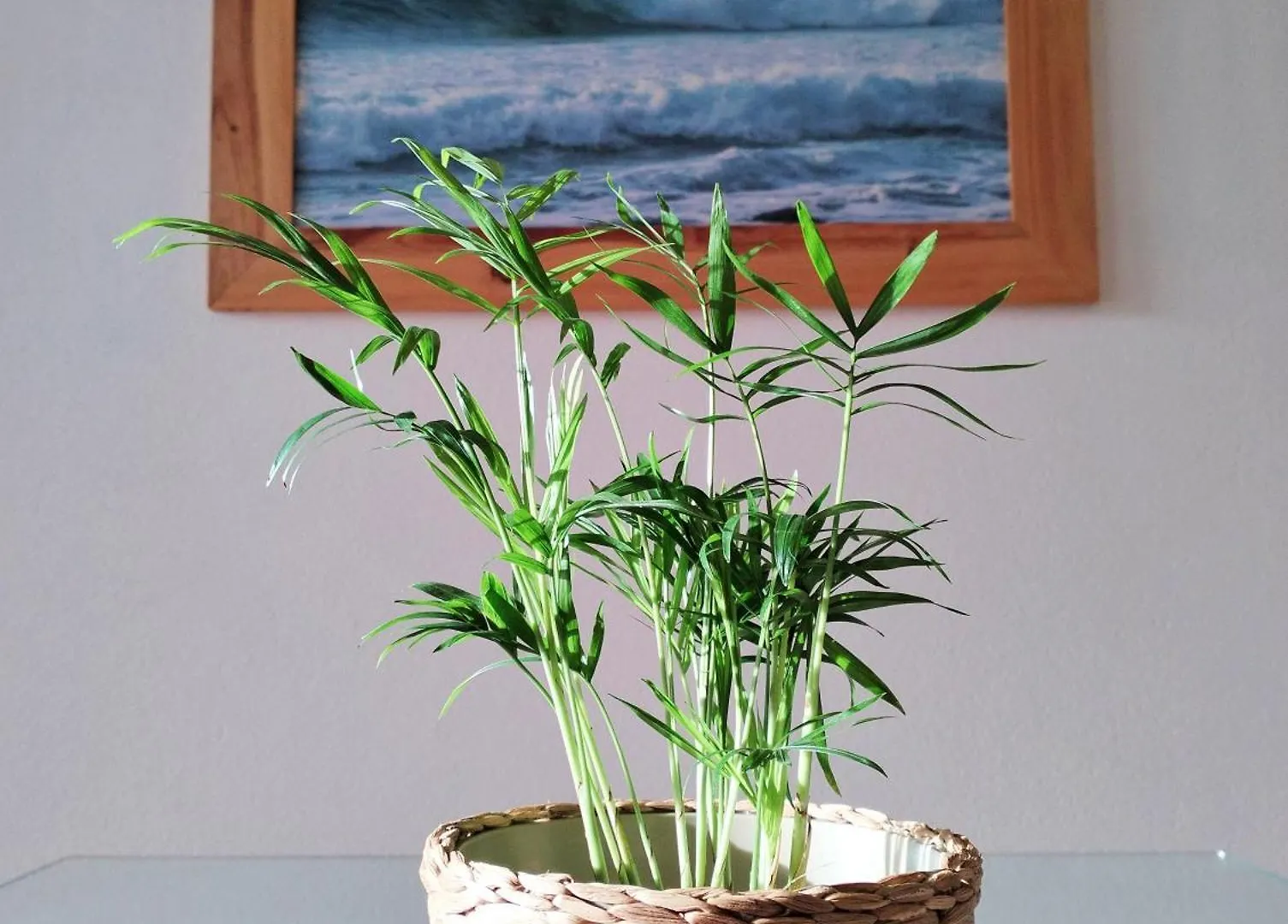 Bela Vista_ Cozy Apartment With Sea View Aljezur Portugal